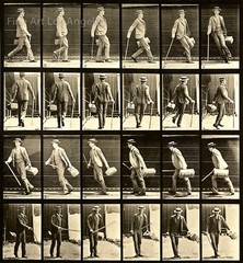 Eadweard Muybridge Photo, Motion Study, “Man with Cane, Hat and Bag” 1880s 11×17