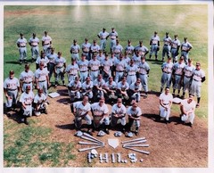 1955 Philadelphia Phillies-spring-training-8×10 Colorized Print-FREE SHIPPING