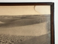 As Found Framed Lehnert & Landrock Panoramic Photo North African Desert Camel