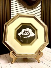 Beautiful Vintage Rose Black & White Octagon Matted Framed Art Print