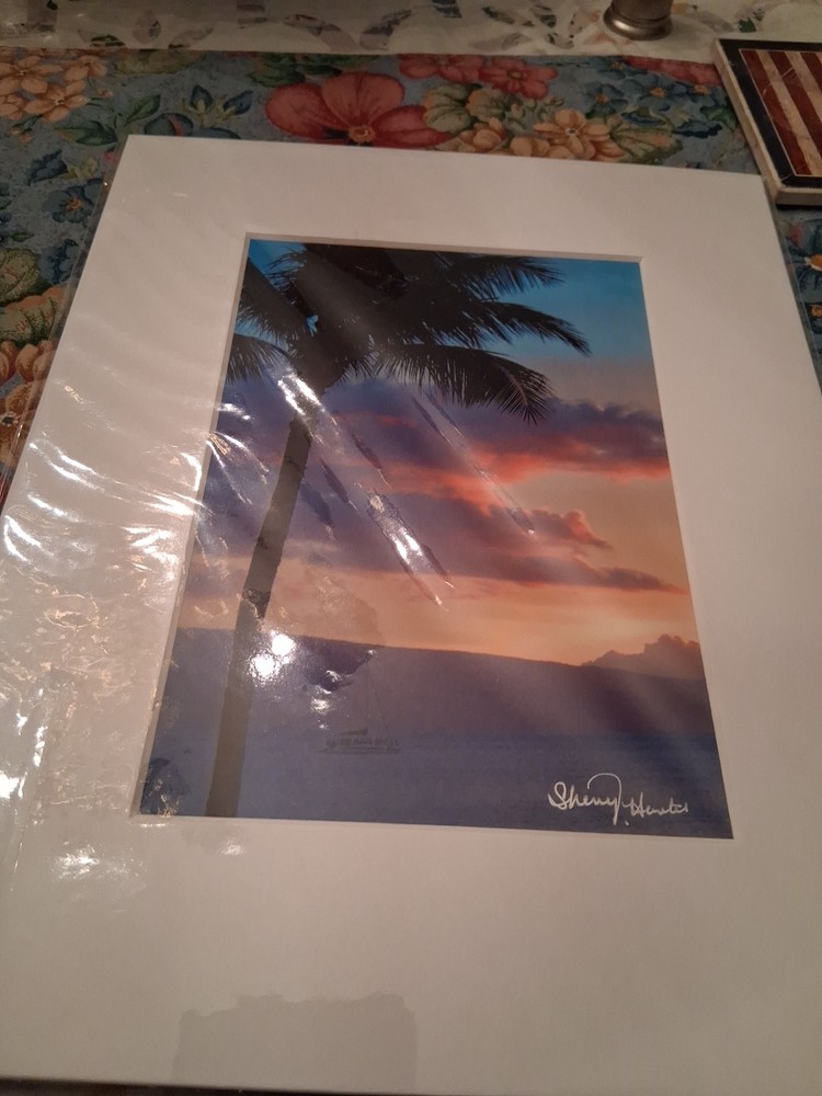 Palm Tree At Dusk Photo Matted Unframed Signed Sherry Hunter New
