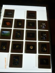 200pc Family & Professional 1990s Photo Slides Mountains Colorado Fireworks