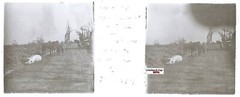 Foucaucourt D’Estrées, Plate Glass Stereo Positive Antique Black And White