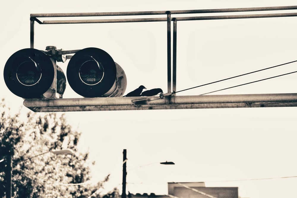 “Birds-Eye-View” Nature Wall Art & Prints