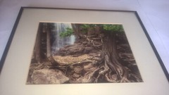 Jay Anderson Photograph Minnesota Gooseberry Falls Framed Art Forest Waterfall