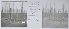 Assevillers D’Estrées, Plate Glass Stereo Positive Antique Black & White
