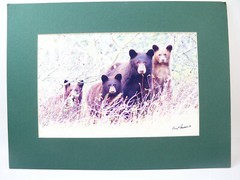 Gerry Lamarre Wildlife Photograph Print Brown Bear Family Matted 16″ x 12″