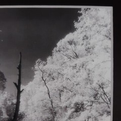Black Mat Photo Landscape Park Infrared Photography Limited Ed 1/2 Signed Print
