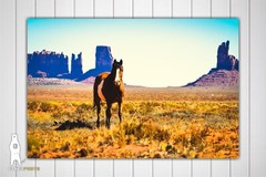 Monument Valley Horse – Utah Fine Art Photography by Bear8Photo – Desert Décor