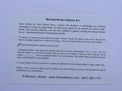 The Pink Chair by Michael Brown Lenticular 3-D Picture Framed Artwork Framed Art