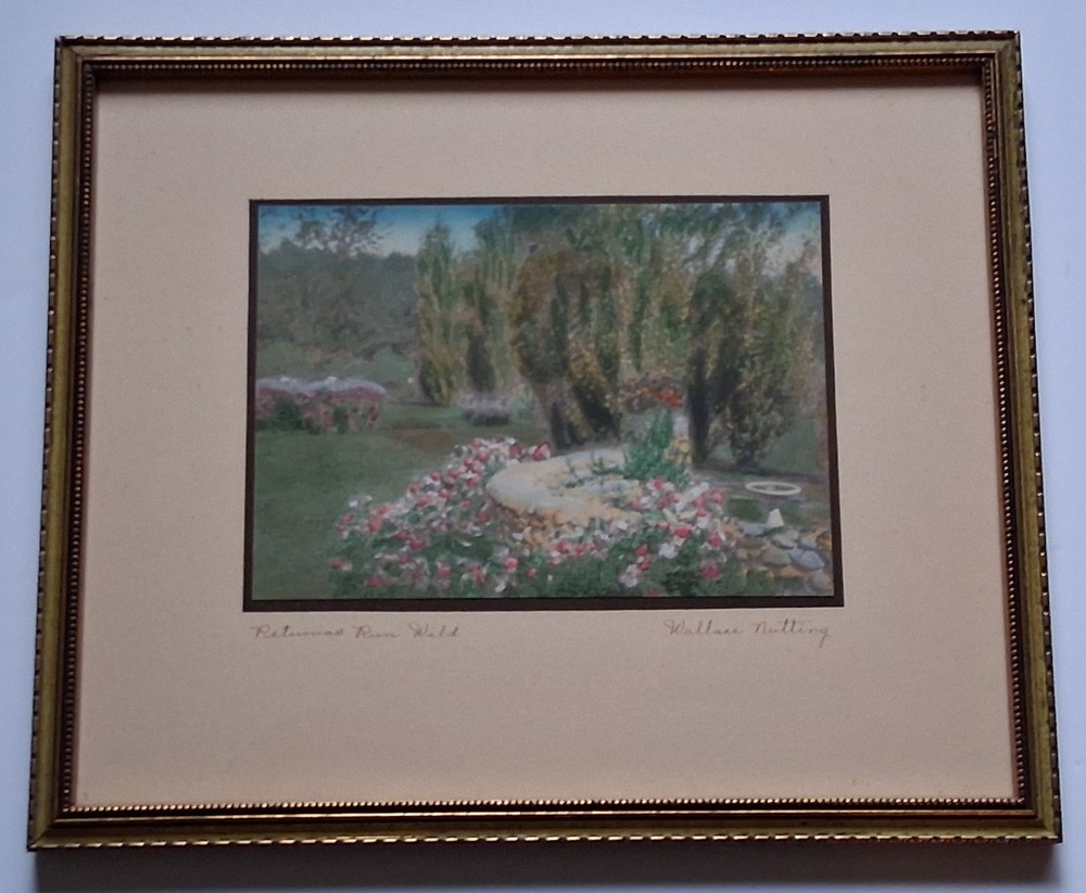 PETUNIAS RUN WILD Wallace Nutting Hand-tinted Photograph BRILLIANT Unfaded Color