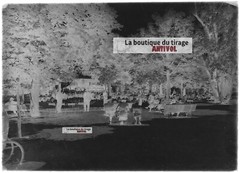 Antique Glass Plate Photo Black and White Negative 13×18 cm Vittel Park