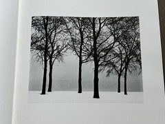 🎈SIGNED Harry Callahan, 1976, Limited edition Only 200 COPIES! Mega RARE!