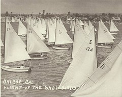 NEWPORT BEACH Balboa SAILBOAT RACE 1940’s Photo Print 1460 SNOWBIRDS 11″ X 14″
