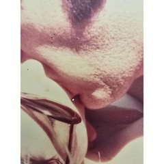 The unknown Kiss Polaroid Custom Gallery Enlargement Vintage Photo Art 10×10