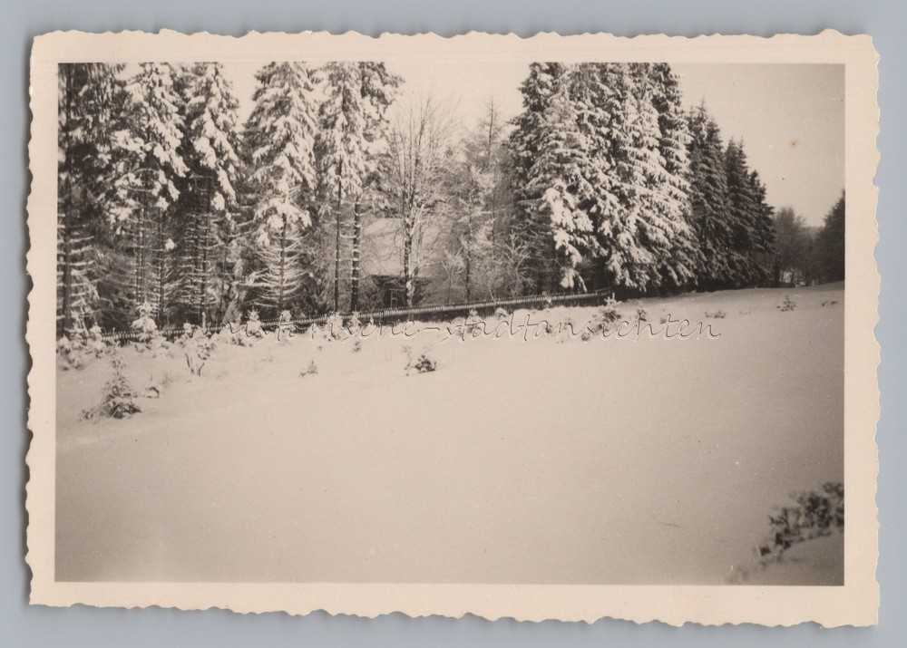 Buntenbock Clausthal-Zellerfeld 1949-residential building winter-old photo 1940s