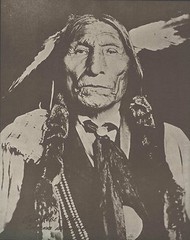 WESTERN Indian CHEYENNE CHIEF Wolf Robe VINTAGE Photo Print 799 11″ x 14″