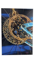 Ltd Edition Acrylic Mounted 3D Metallic Metal Fine Art Photograph Print NICE!