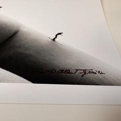 Allan I. Teger Bodyscapes Matted Ski Butt Erotic Art Original signed 84/250 ’02