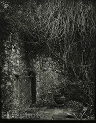1957/78 JOSEF SUDEK Vintage Czech Photo Gravure Stone House GARDEN Landscape Art