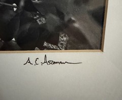 “Late Summer Light” Print by the photographer Albert Aszman. Signed