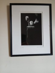 Framed Signed Dated PHOTOGRAPH Black & White Flowers/Vase 1989-14.75″H X 12″L