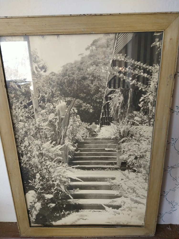 PHOTO: “STAIRCASE WITH CACTI (23 x 15”) (No Glass/ Frame) OF