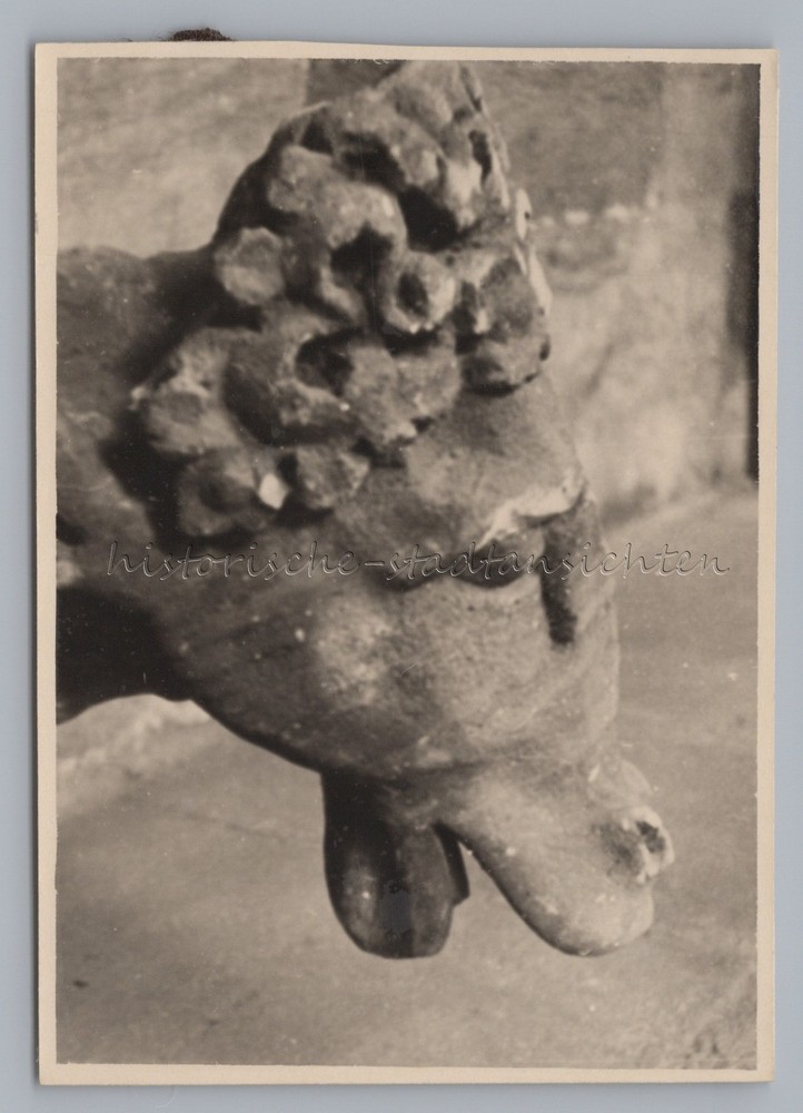 Bamberg 1949 – Saint Peter and George Stag Cow Gargoyle – Old Photo 1940s