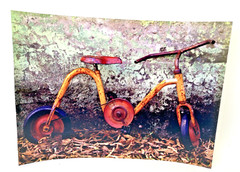 Sarka Holeckova Rich Trager Yellow Bike 1946 Children’s Bicycle Limited Photo