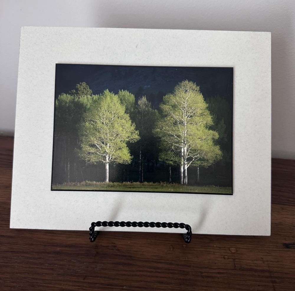 Light & shadow Mounted Matted Photo Erik Stensland Scenic Photography Trees