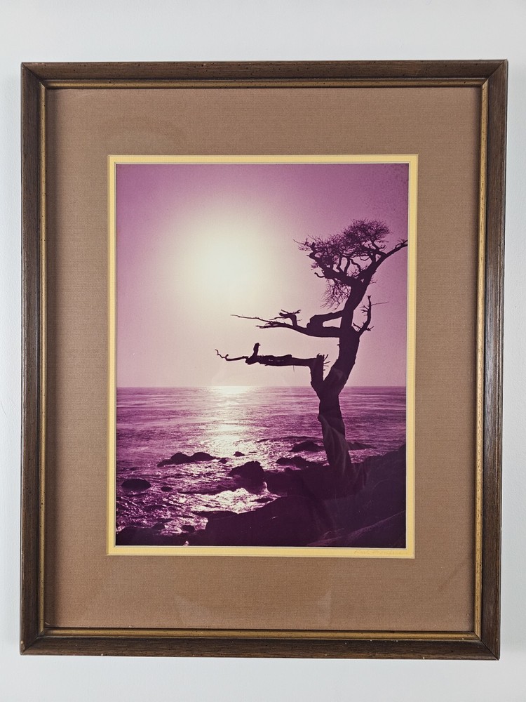 ART – VTG Original Signed Karl Bonfert 35mm Photograph CA 21.25×17.25 Framed Art