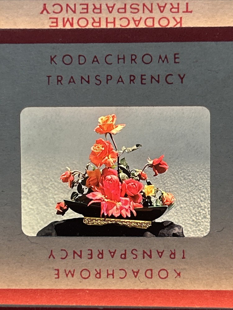 Kodachrome Red Border Lot Of 40 1950’s Still Life Flowers 35mm Color Slides A