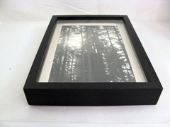California Redwoods Triptic B&W Original Handmade Art Photographs Framed