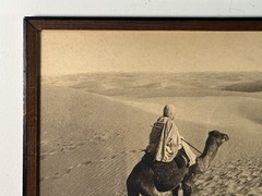 As Found Framed Lehnert & Landrock Panoramic Photo North African Desert Camel