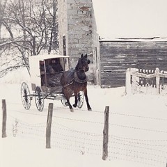 Dick Brown 8×10 Photo Amish Horse & Buggy Winter Signed 75/250 Authentic Country