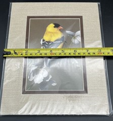 Original Photography of Birds Signed Greg Ledermann Cardinal Blue Jay Goldfinch