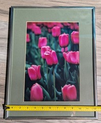 Framed Pink Tulips Floral Photograph -Green Matting Silver Frame 16.5″x12.5″