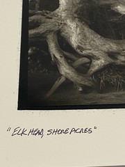 Jim Fitzgerald Elk Head Shore Acres Signed Photograph Carbon Transfer
