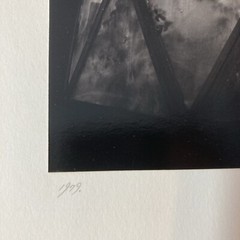 MICHAEL KENNA Signed GREENHOUSE Toned Gelatin Silver Print LIMITED EDITION 1979