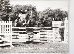 Vintage Film Photo France Equestrian Horse Show Jumping 18X24cm 1970