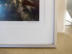 Framed Art Photograph of Southwestern USA Desert Landscape with Sunrise