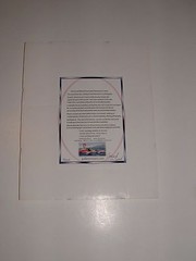 Hawaii Sea Turtle Ocean Photo, “Covered in Sand”, Matted, Age Unknown, pre-owned