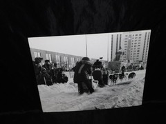 Alaska Iditarod Dog Sled Race 1985 Jim Brown Signed Mounted Set 6 Photos