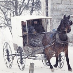 Dick Brown 8×10 Photo Amish Horse & Buggy Winter Signed 75/250 Authentic Country