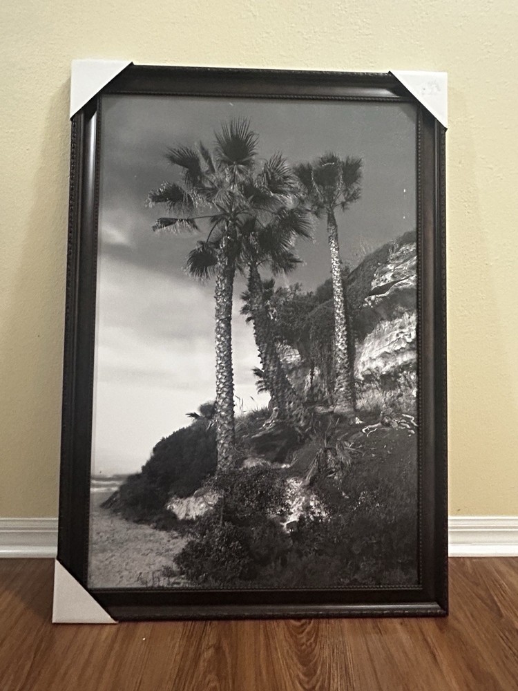 Framed Black & White Palm Trees Beach Cliff Portrait Landscape Photograph