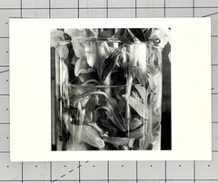 Lee Friedlander (b. 1934) Art Announcement Card February 2000 – Stems