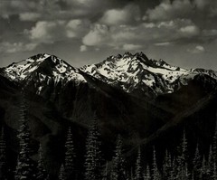 1950 Ansel Adams From Hurricane Hill Olympic National Park Art Photo Gravure
