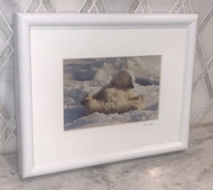 Vintage Photo Jim Stamates Polar Bear Kickin’ Back Framed Matted 10.25”x 8 3/8”