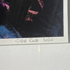 Steve Buck ‘Mulberry Tree Leaves #1’ Signed Framed Color Photograph 2020