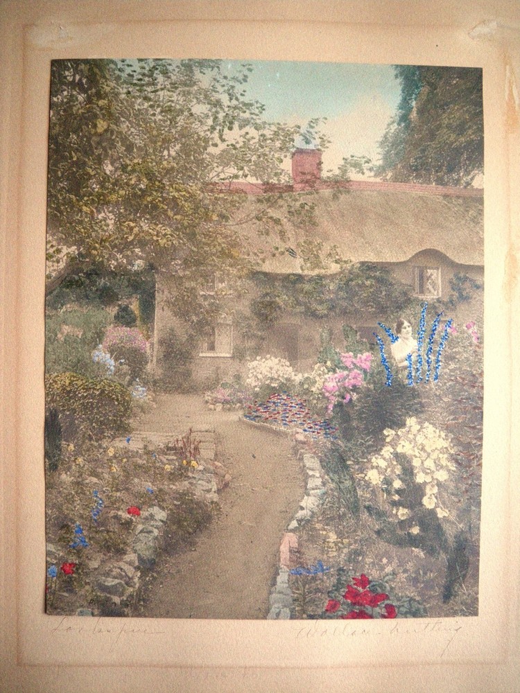 Early 1900s Wallace Nutting LARKSPUR Hand Tinted Colored Photo Signed 7″ x 9″